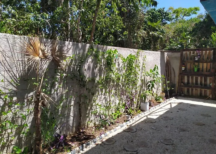 Relaxing Comfortable Jungle View Eklum Rivera Maya Pool Ac Gym Gated Community