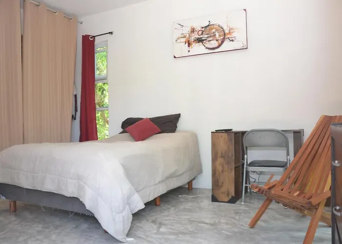 Relaxing Comfortable Jungle View Eklum Rivera Maya Pool Ac Gym Gated Community Alloggio in famiglia
