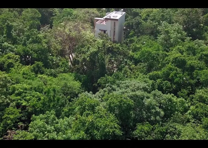 Relaxing Comfortable Jungle View Eklum Rivera Maya Pool Ac Gym Gated Community Alloggio in famiglia