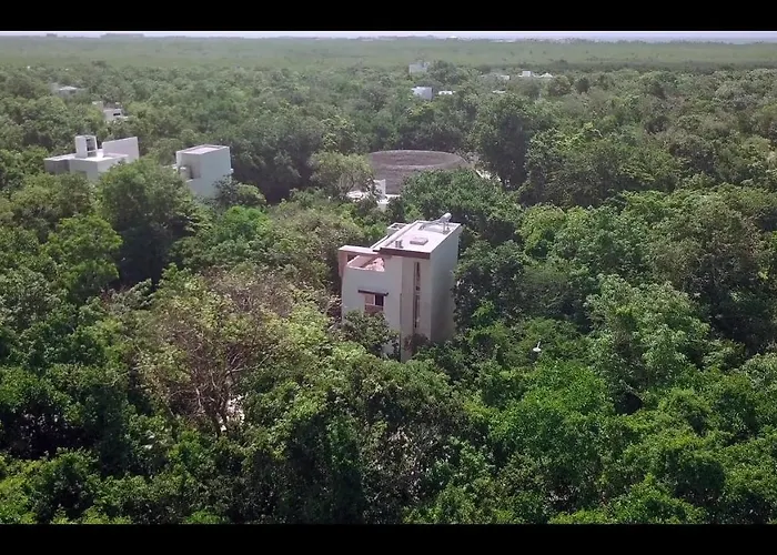 Relaxing Comfortable Jungle View Eklum Rivera Maya Pool Ac Gym Gated Community * Puerto Morelos