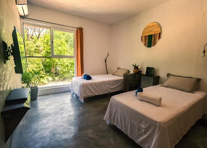 Alloggio in famiglia Relaxing Comfortable Jungle View Eklum Rivera Maya Pool Ac Gym Gated Community Puerto Morelos