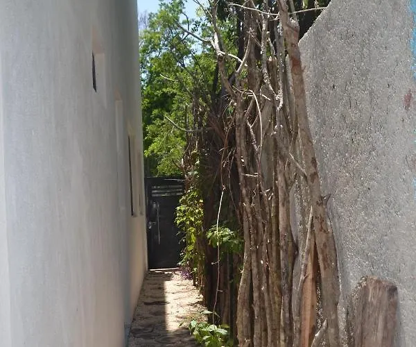Relaxing Comfortable Jungle View Eklum Rivera Maya Pool Ac Gym Gated Community Alloggio in famiglia